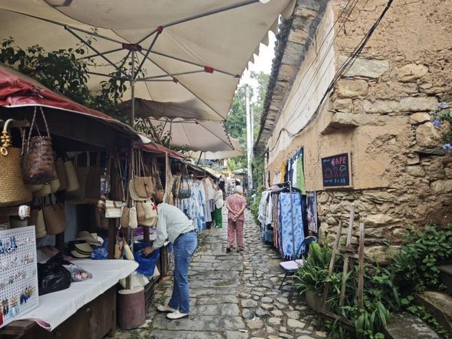 留量”艺术扎根结出“金果子”pg电子入口凤阳邑流量变“(图12)